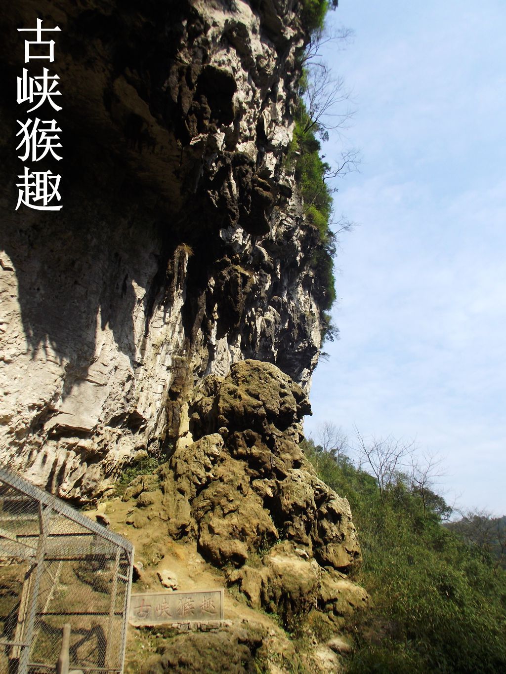 DSCF0935.JPG