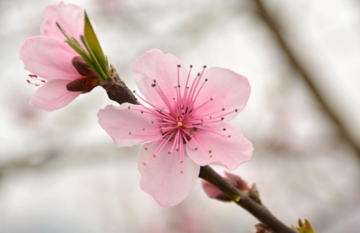 20150309231306.jpg