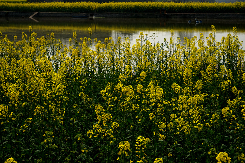DSC08243_.jpg