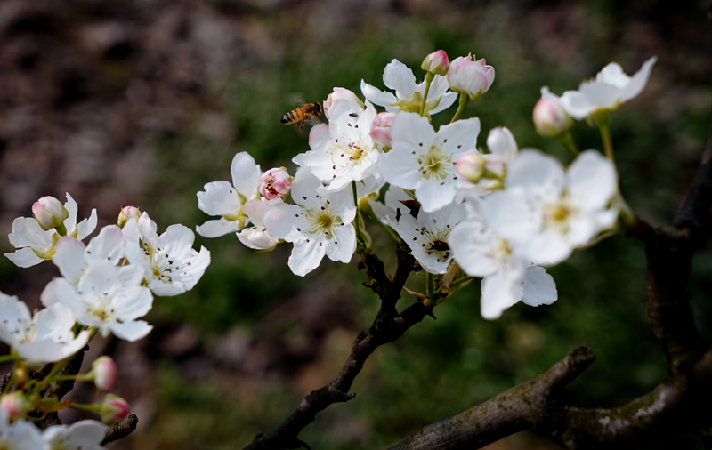 DSC08273_.jpg