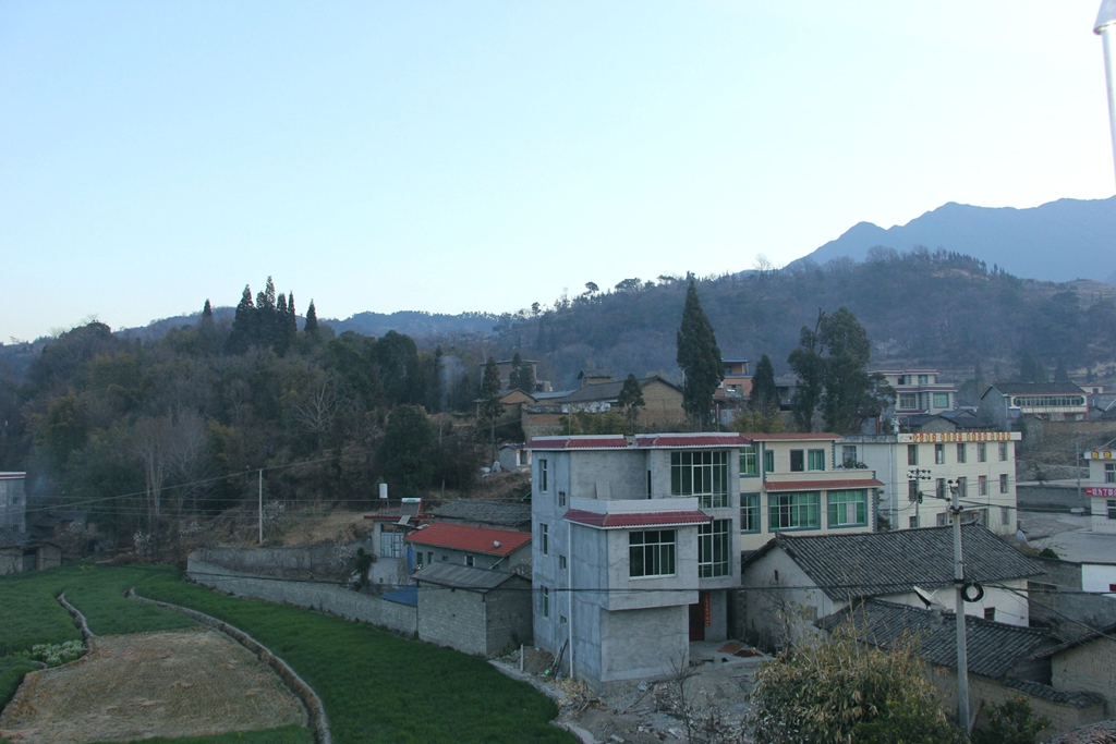 IMG_0379.JPG