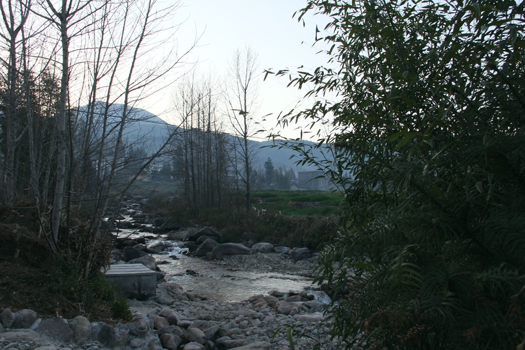 IMG_0387.JPG