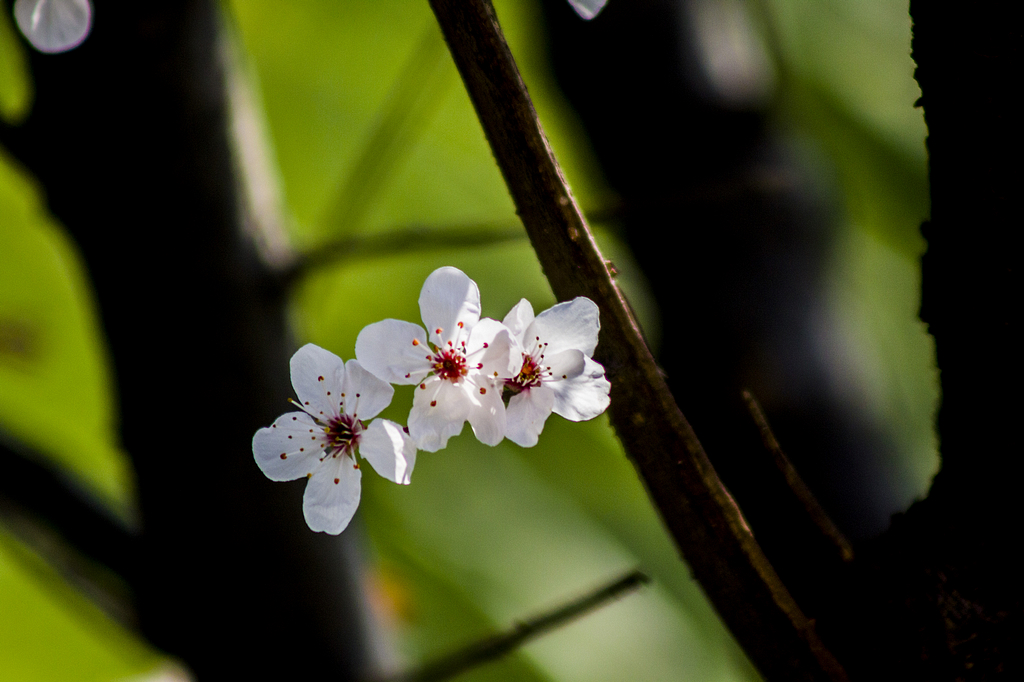 _MG_6359.jpg