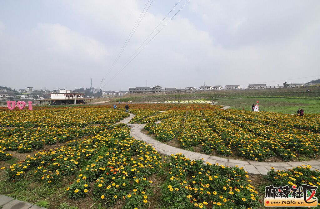 QQͼƬ20150312002823.jpg