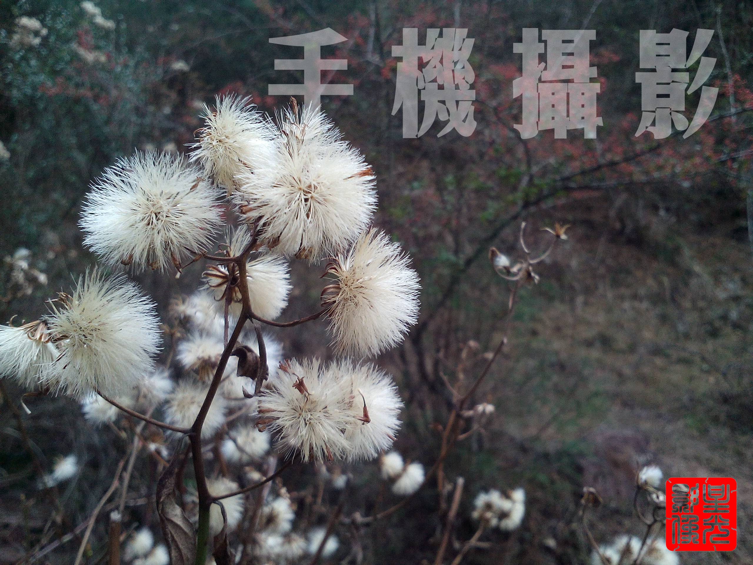 IMG_20150216_164829.jpg
