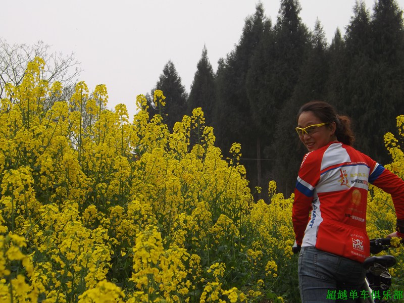 DSCF2447.jpg