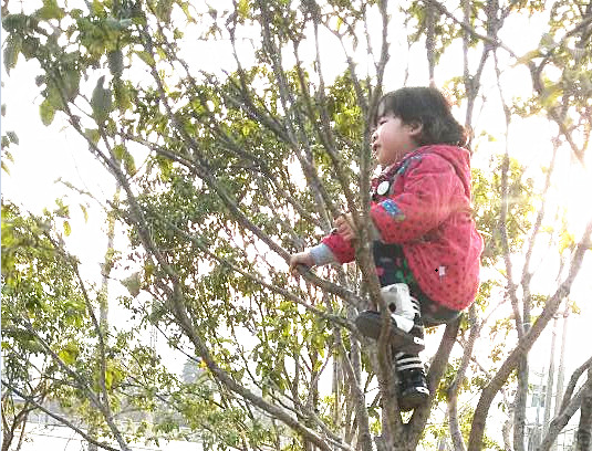 QQͼƬ20150316161454.png
