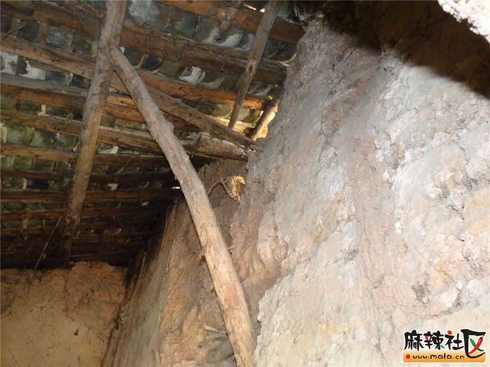 P1270736.jpg
