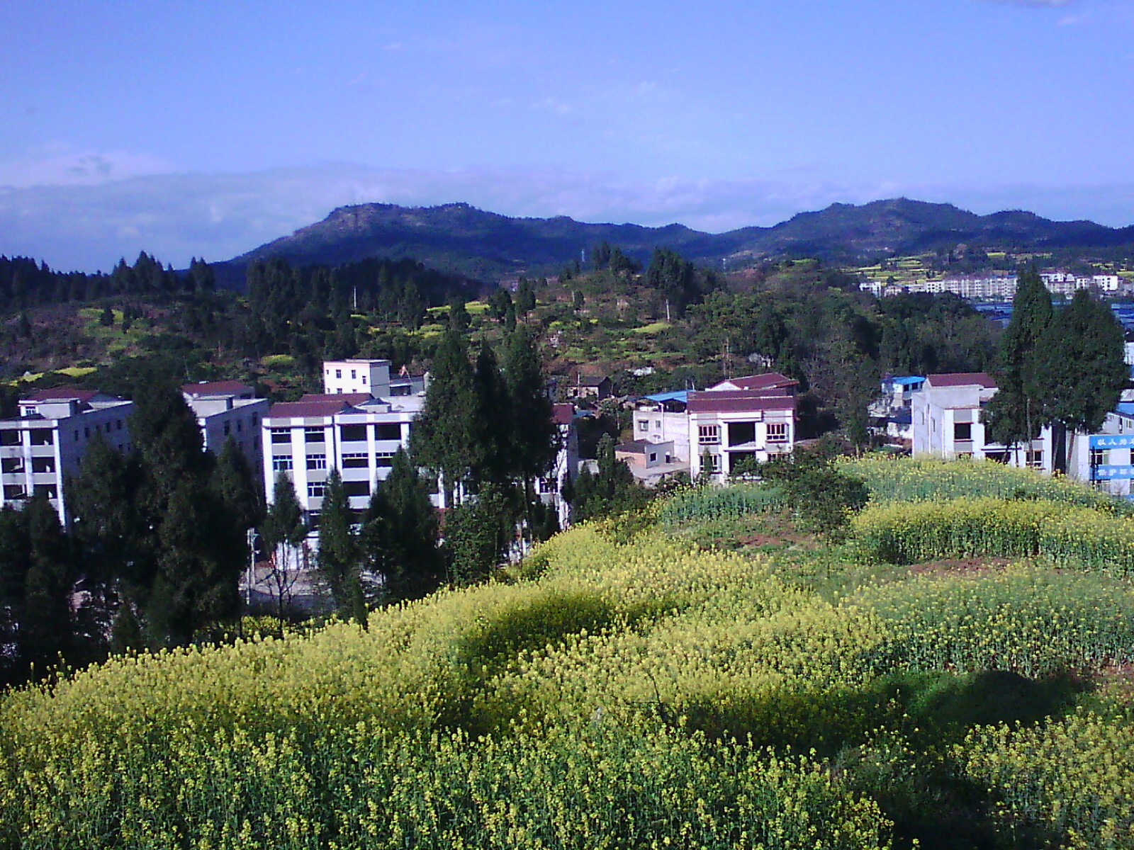 IMG00108.jpg