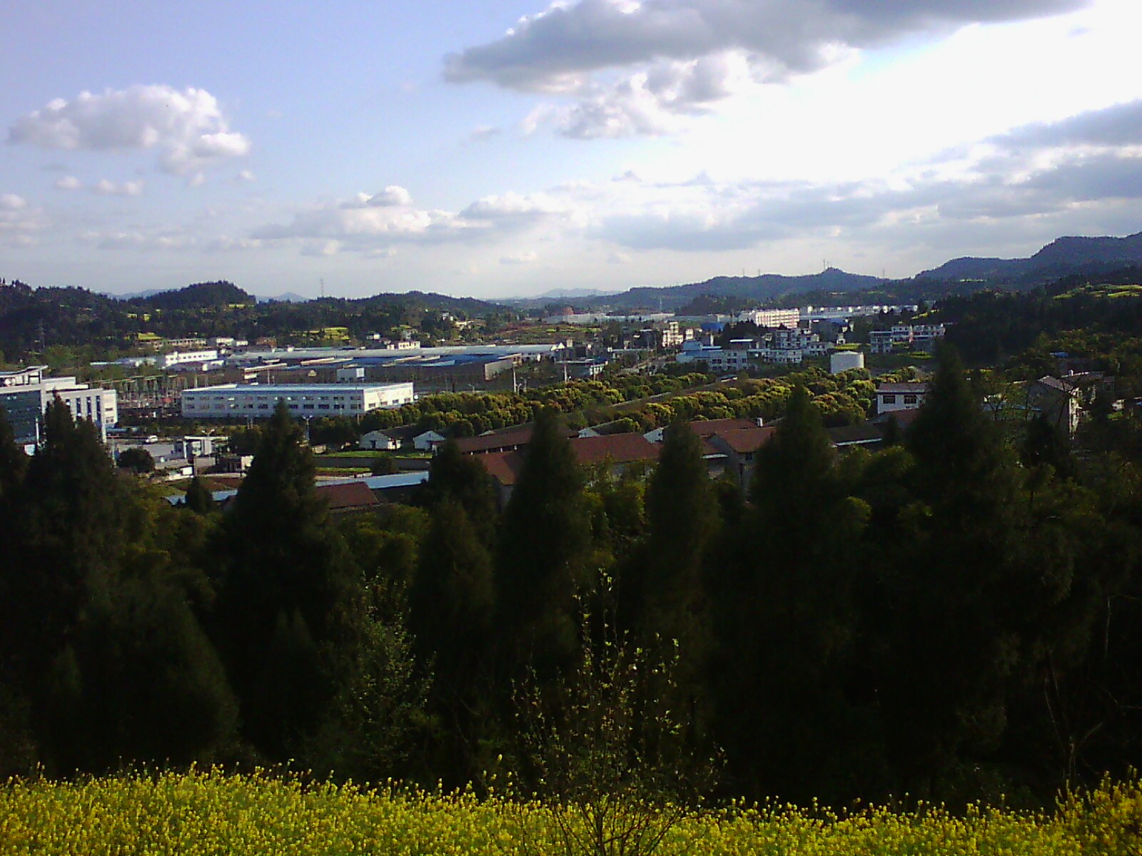 IMG00123.jpg