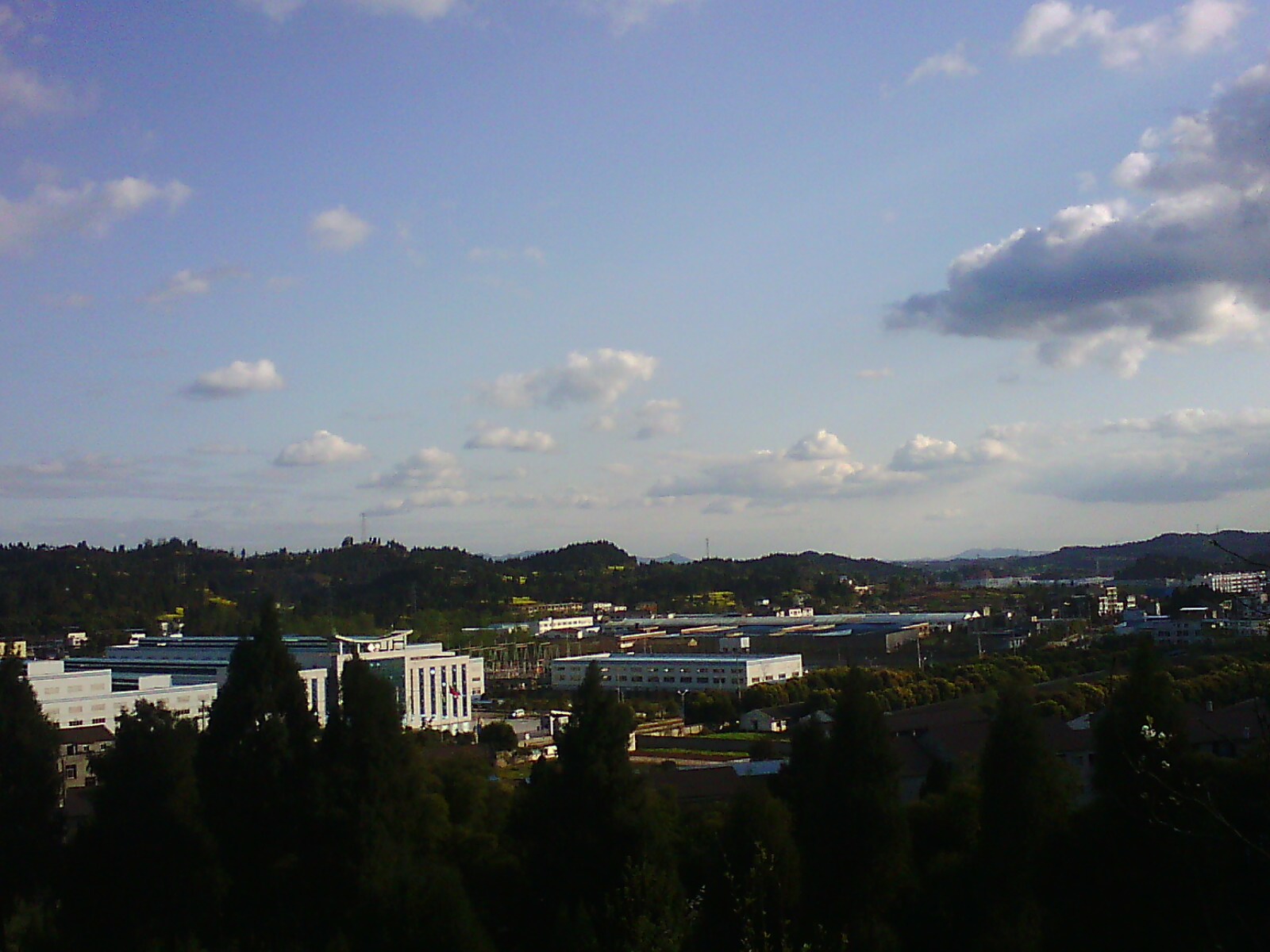 IMG00126.jpg