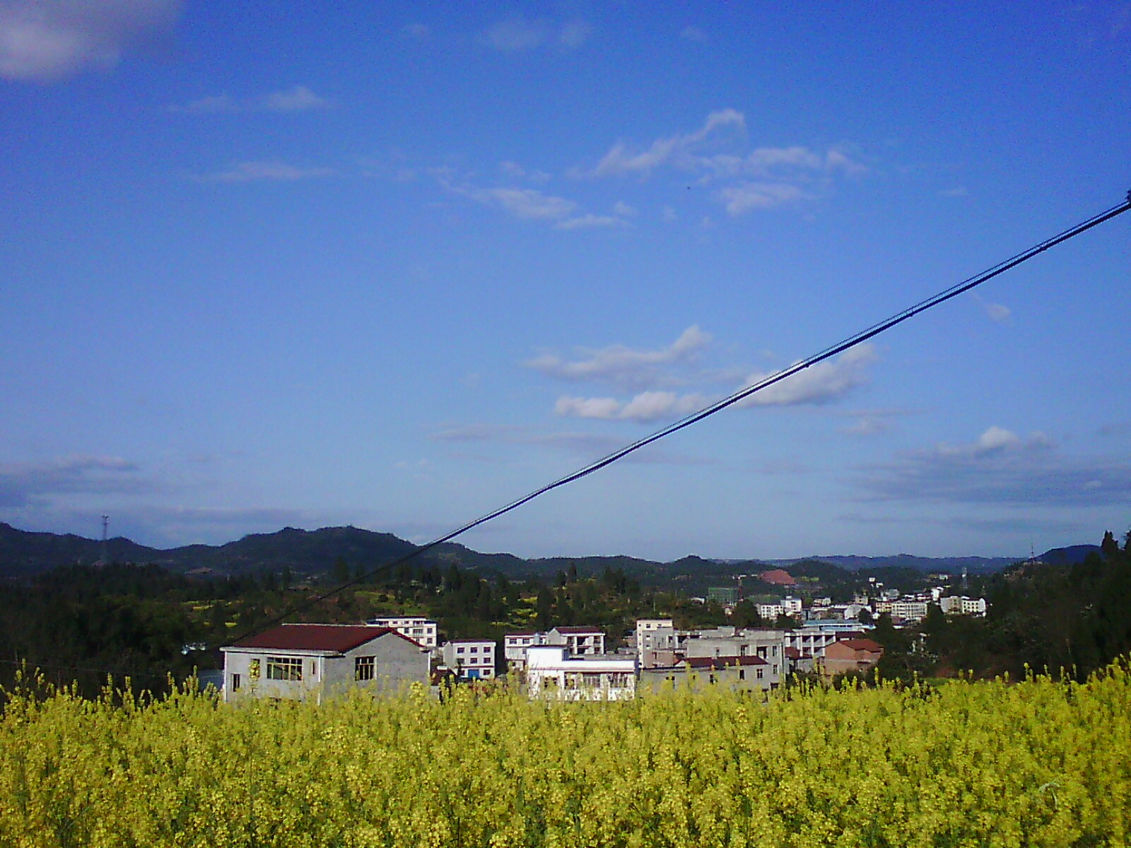 IMG00144.jpg