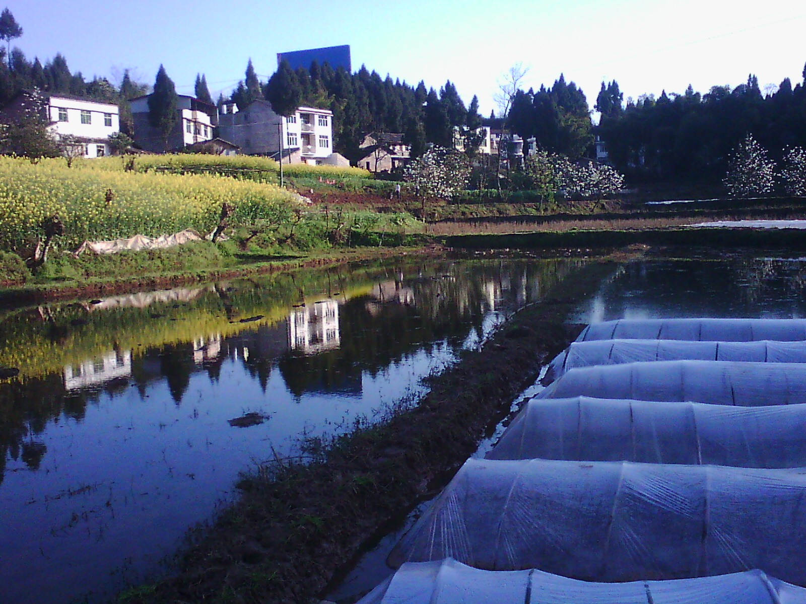 IMG00155.jpg