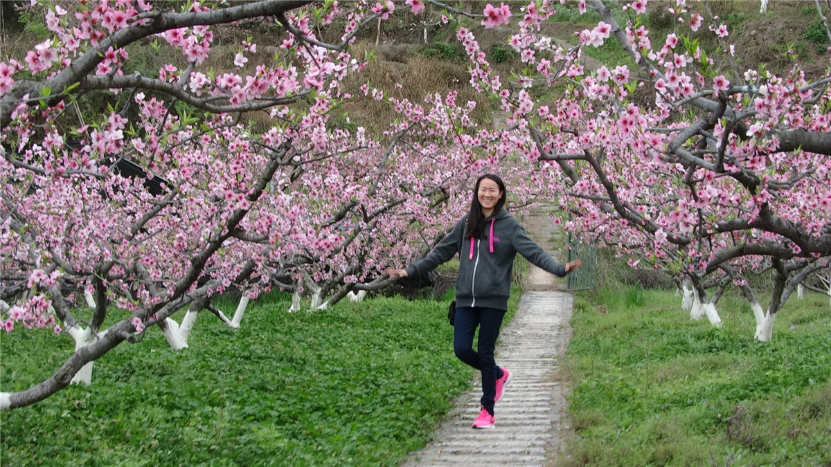 組圖:西充古樓十六村 觀賞桃花好去處