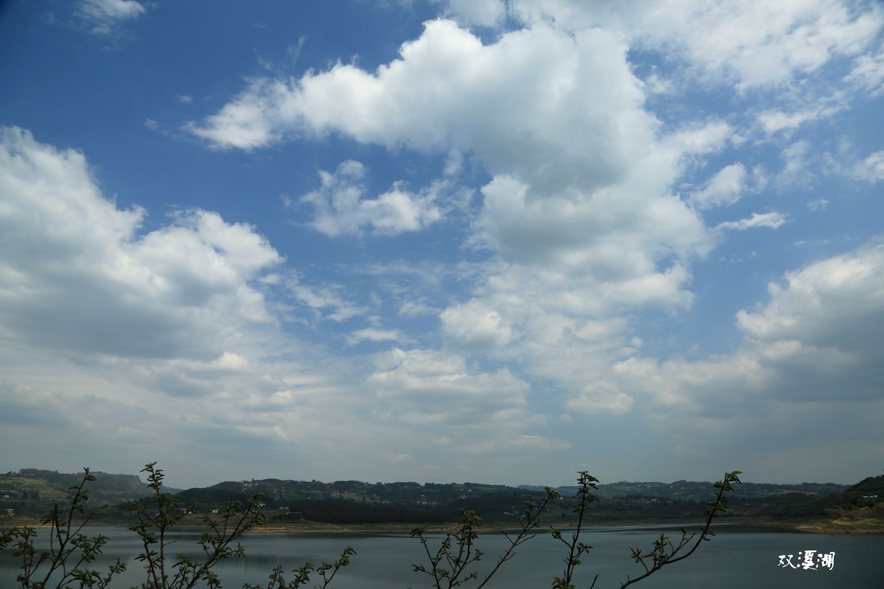 675A5108_.jpg