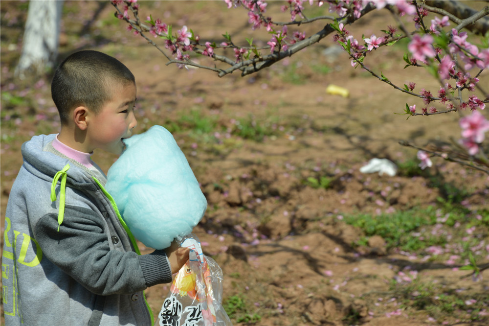 西充古楼尝桃花人山人海 车水马龙(图)