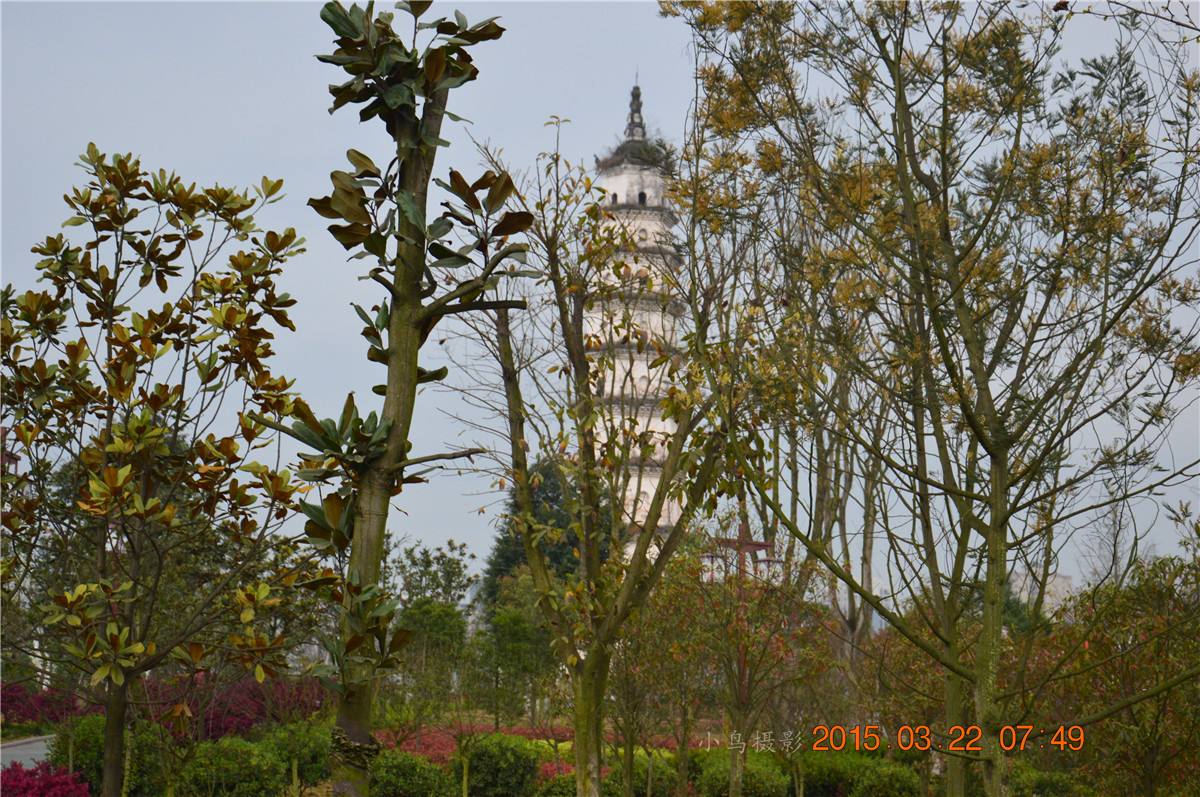 DSC_0037.JPG