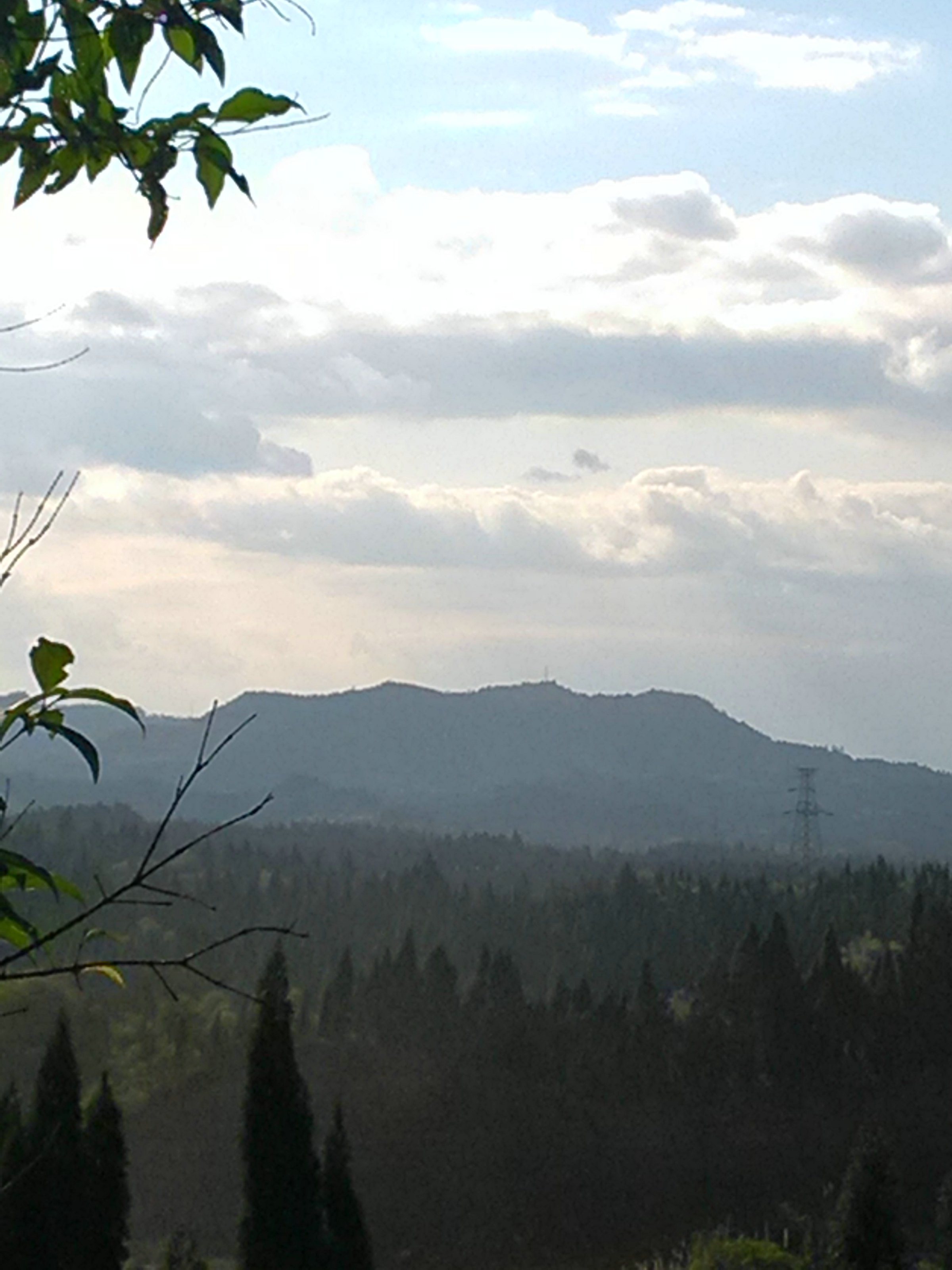 IMG_20150318_165252.jpg