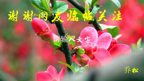 ͼ20152256432841_.gif