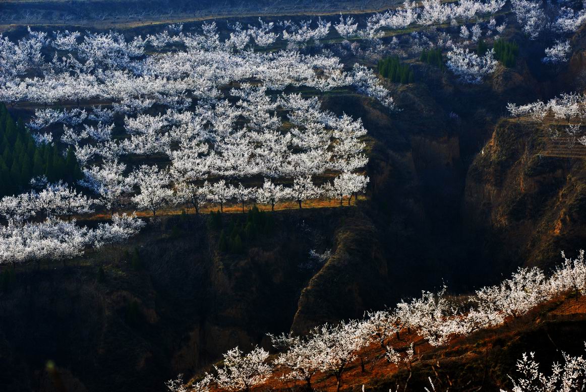 С DSC_1880.jpg