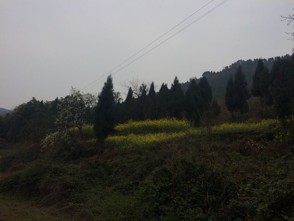 QQͼƬ20150327094325.jpg