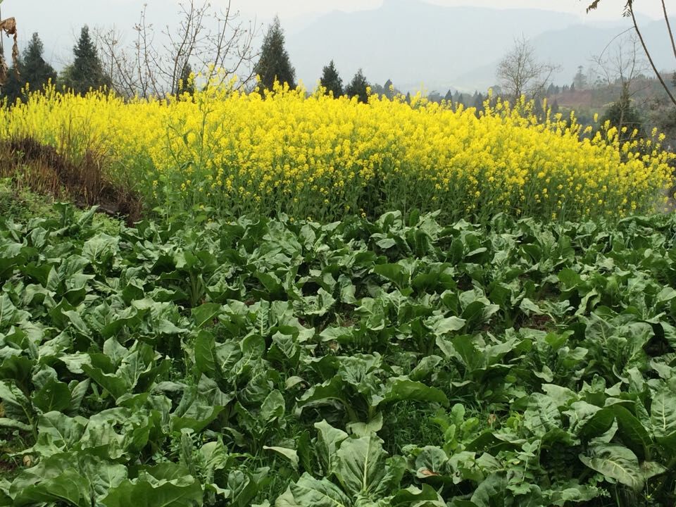 QQͼƬ20150327094507.jpg