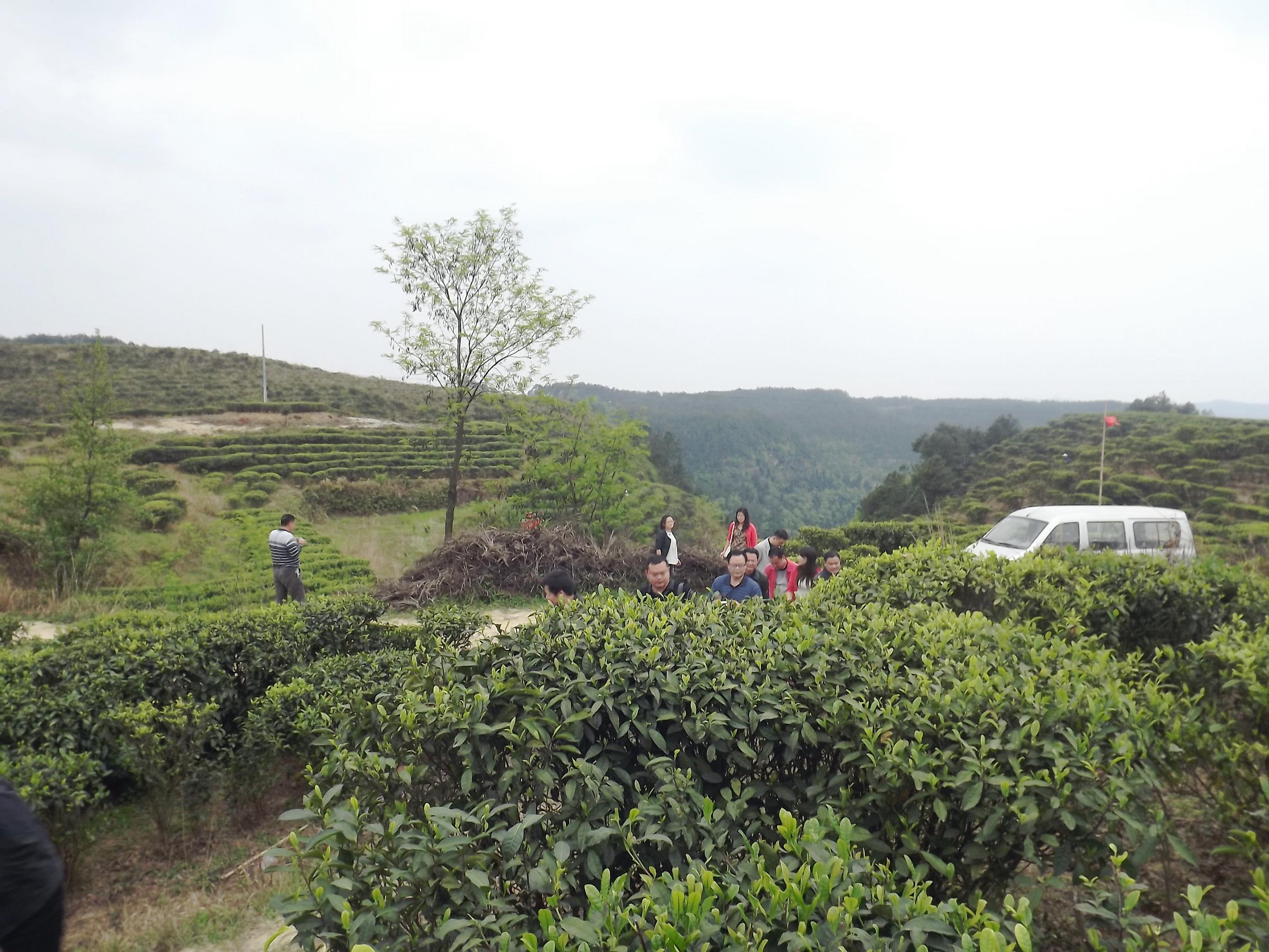 DSCF2573.JPG