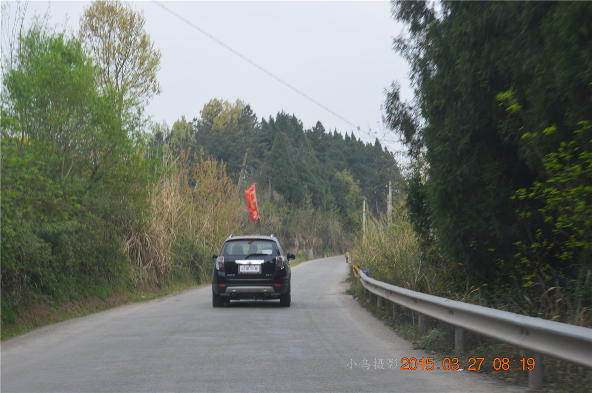 DSC_0104.JPG