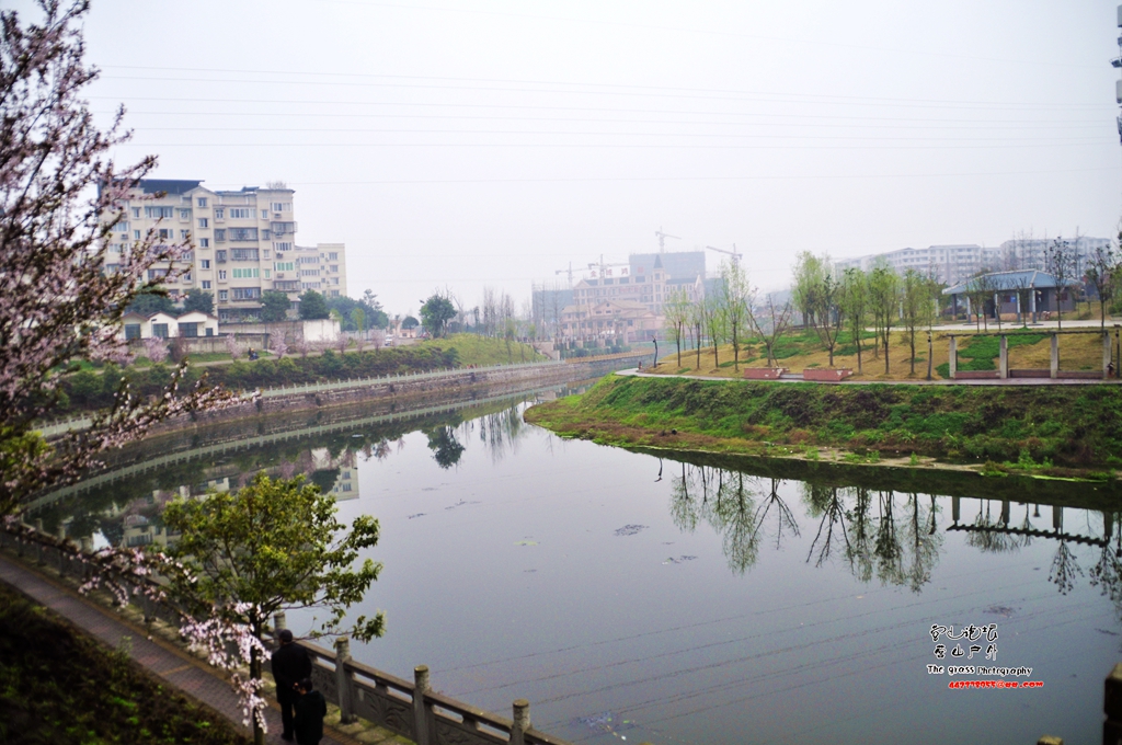 _DSC8533_.jpg