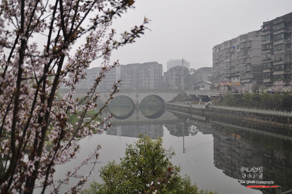 _DSC8506_.jpg