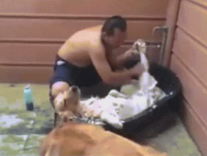ϴ.gif