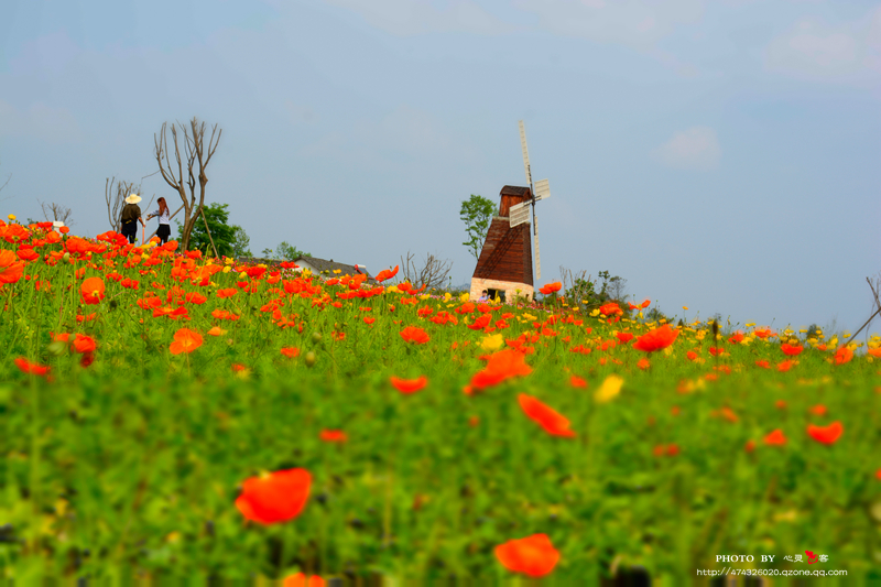 _DSC9728.jpg