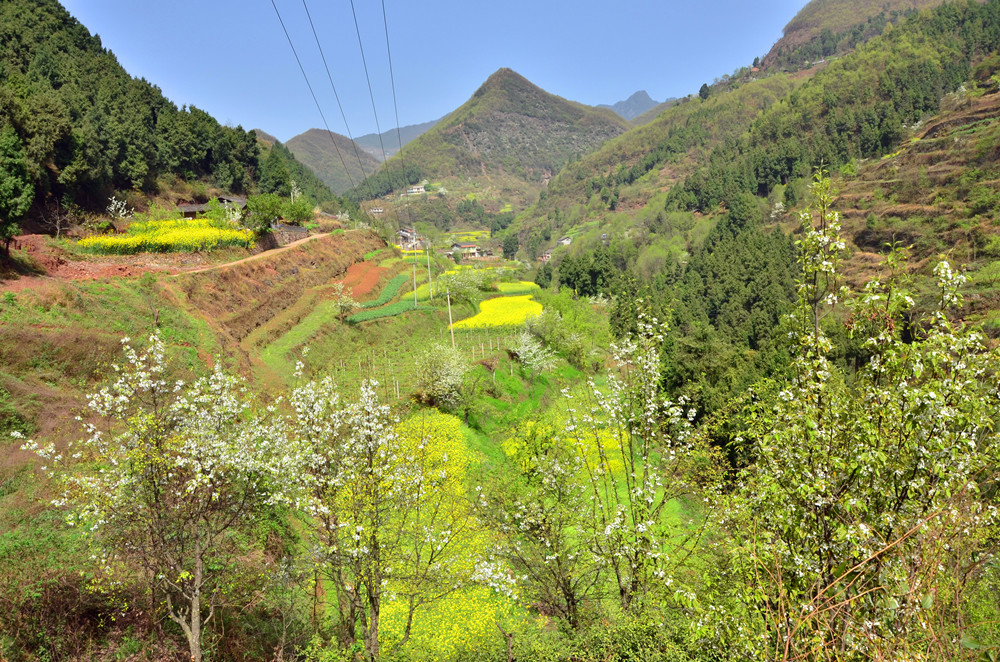 DSC_7109.JPG