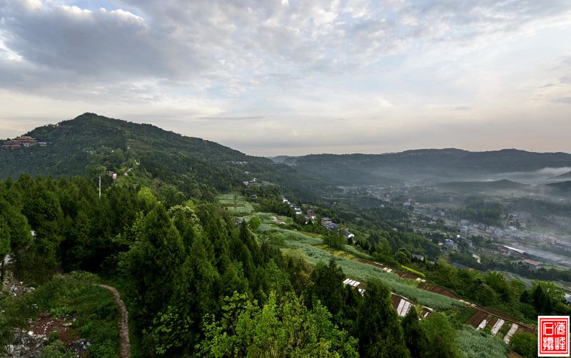 _DSC4315_С.jpg