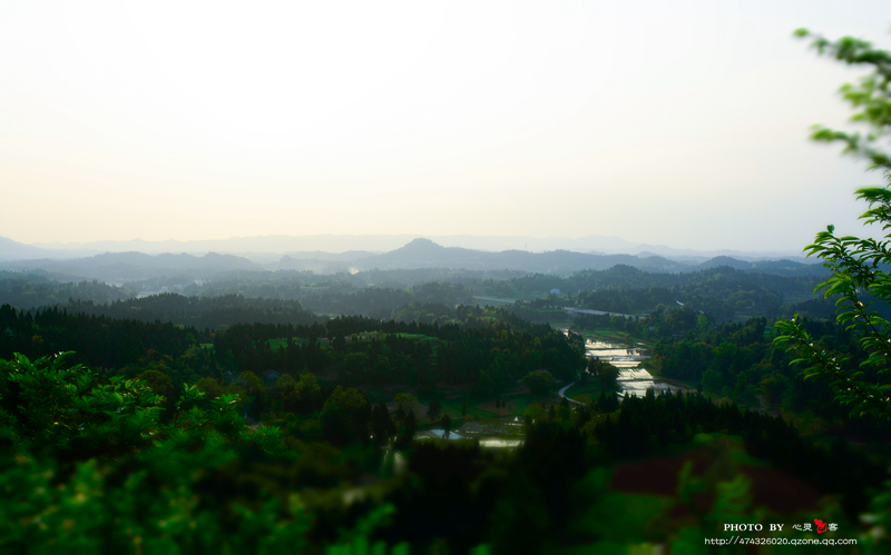 _DSC0184.jpg