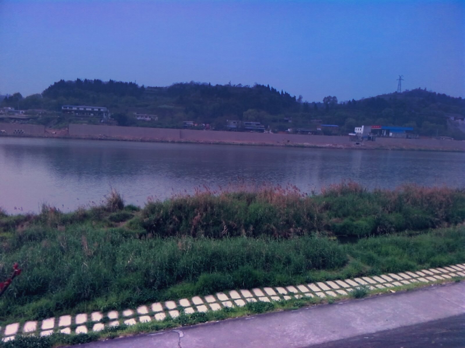 IMG_20150328_102946.jpg
