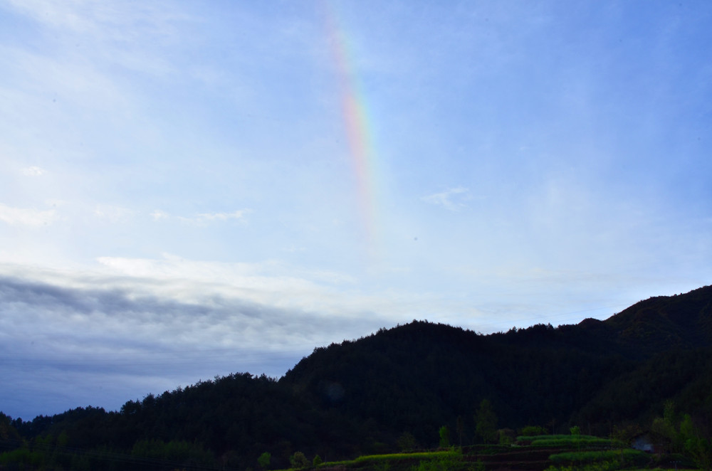 DSC_7362.jpg