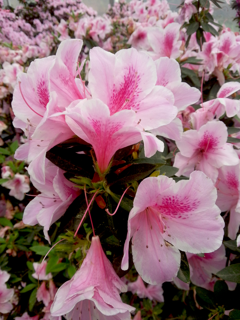 20150404_140009.jpg