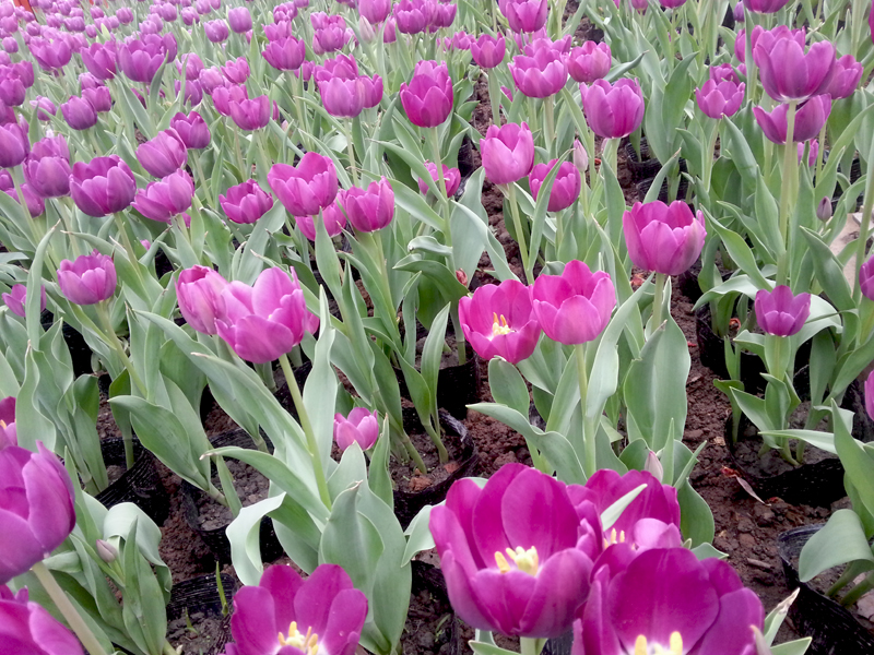 20150404_140446.jpg