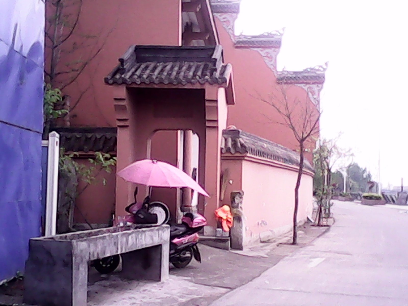 IMG_20150408_141901.jpg