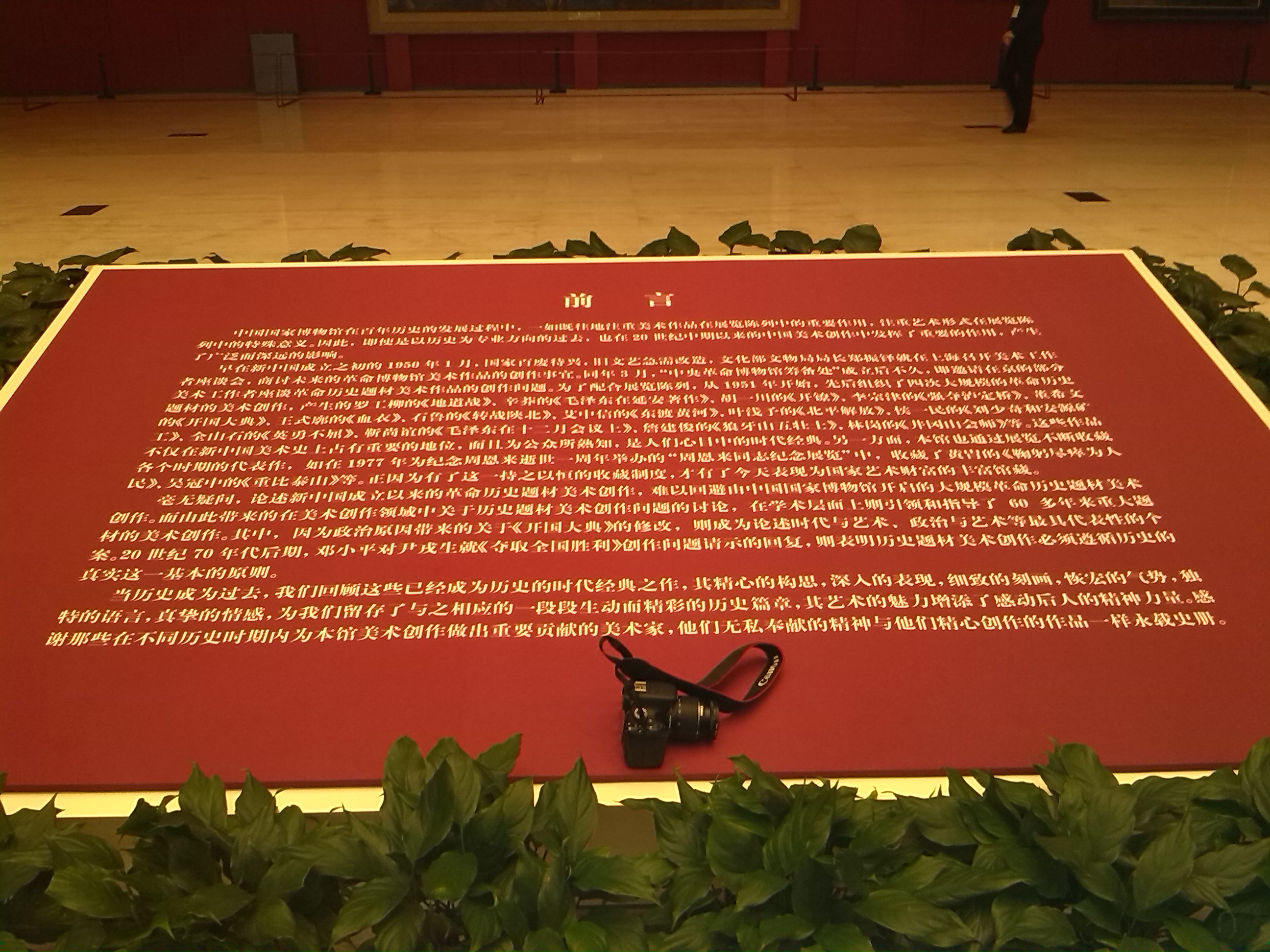IMG_20150104_112648.jpg