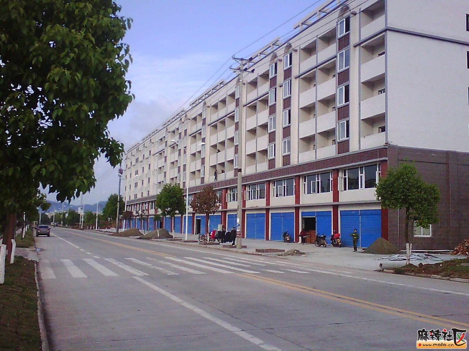 IMG00260.jpg