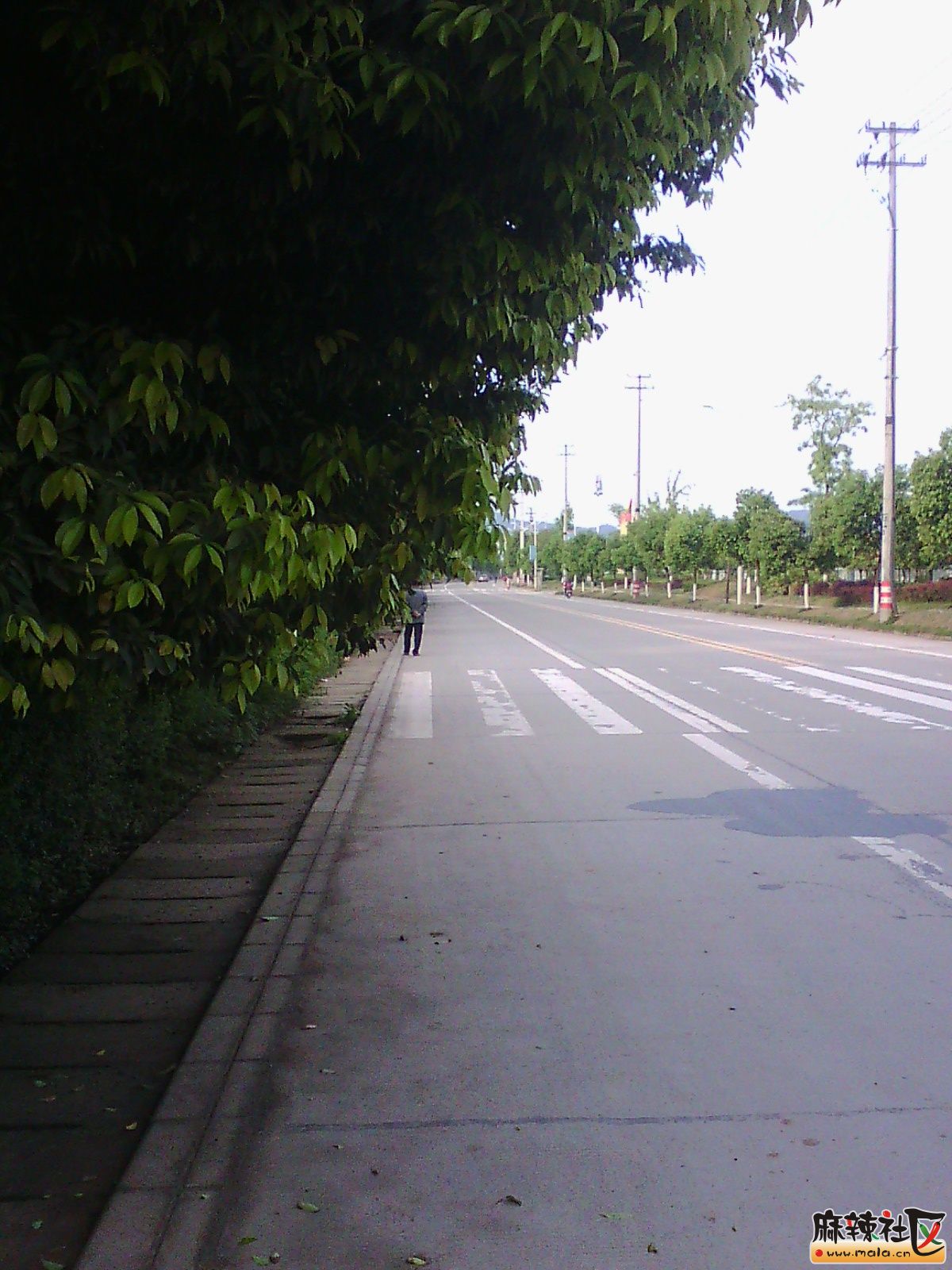 IMG00273.jpg