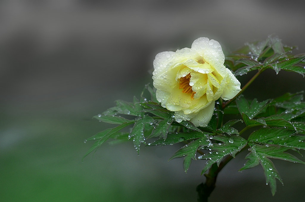 DSC_0741_.jpg