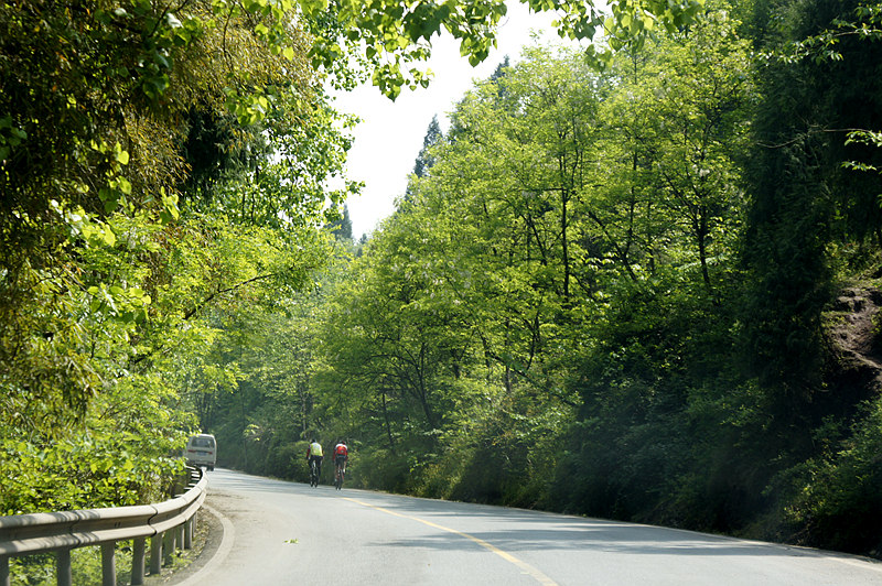 _DSC5595_.jpg