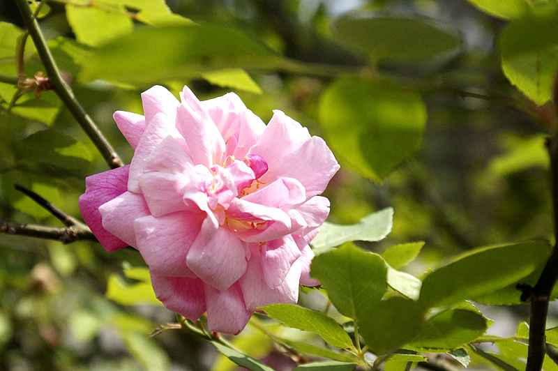 _DSC5683_.jpg