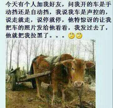 QQͼƬ20150410181450.jpg