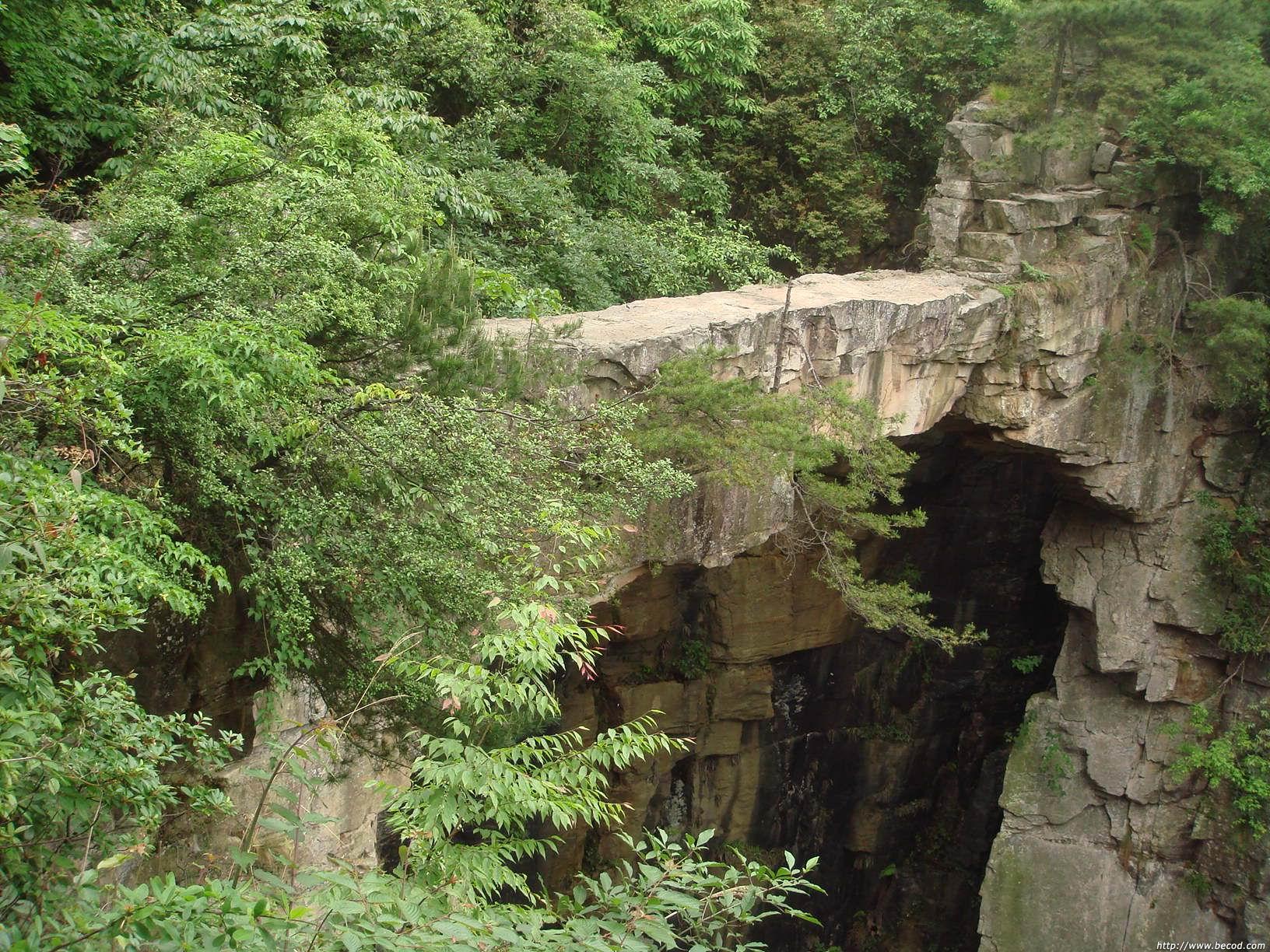 91-100Q1103500U7.jpg