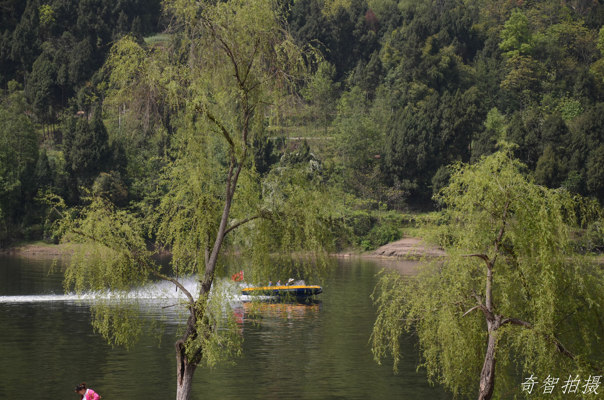 DSC_0826.jpg