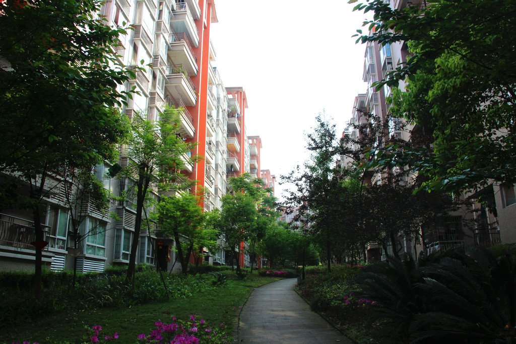 104.JPG